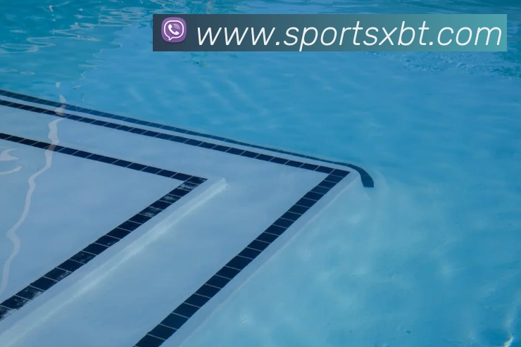 App Interface Preview